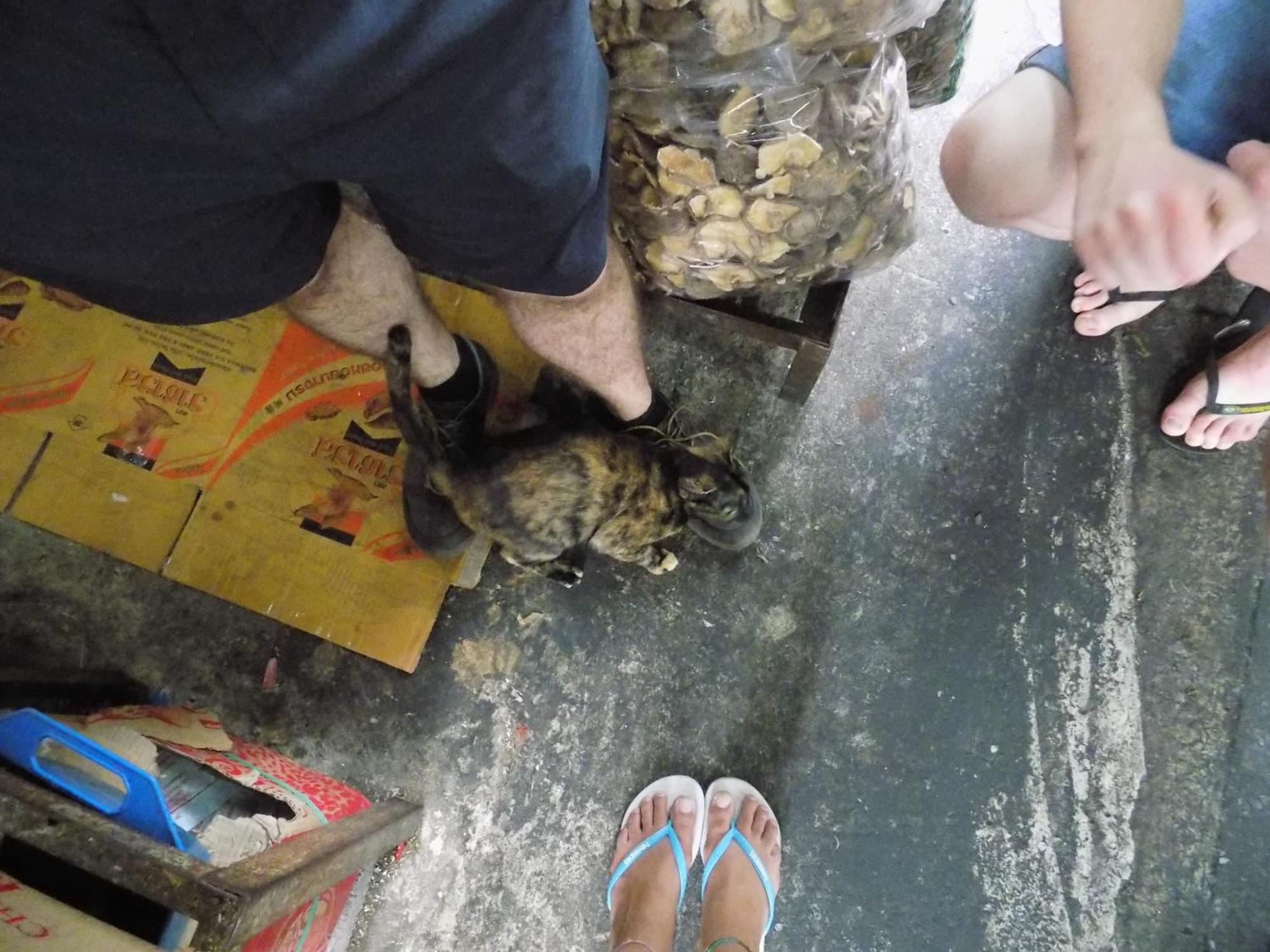 The Oasis Hostel (Adults Only) Bangkok Bagian luar foto